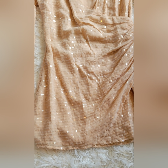 Forever 21 Rose Champagne Sequin Cocktail Dress - Picture 6 of 11